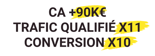 Etude de cas référencement SEO